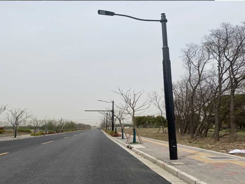 桃园市上海综合杆 太阳能路灯工程